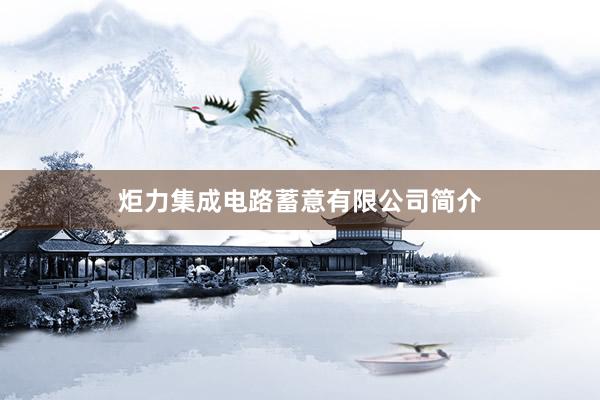 炬力集成电路蓄意有限公司简介