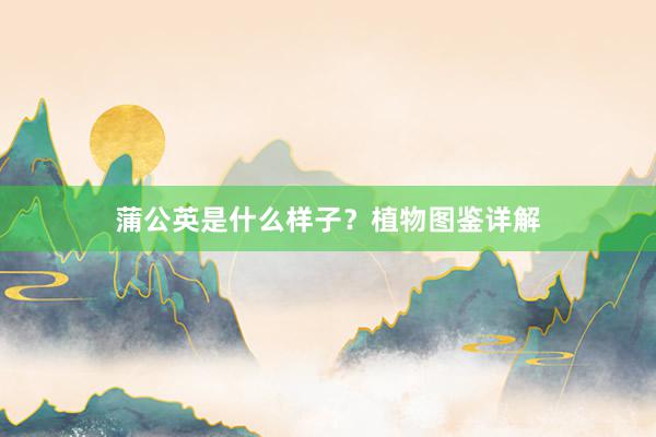 蒲公英是什么样子？植物图鉴详解