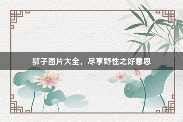 狮子图片大全，尽享野性之好意思
